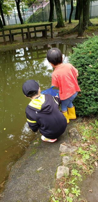 けやき公園のクチコミ写真1