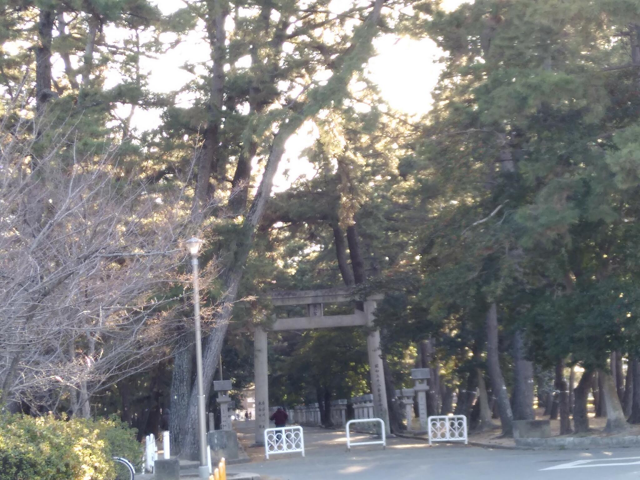 浜の宮公園の代表写真8