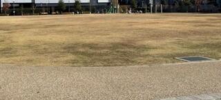 さいたま新都心公園のクチコミ写真1