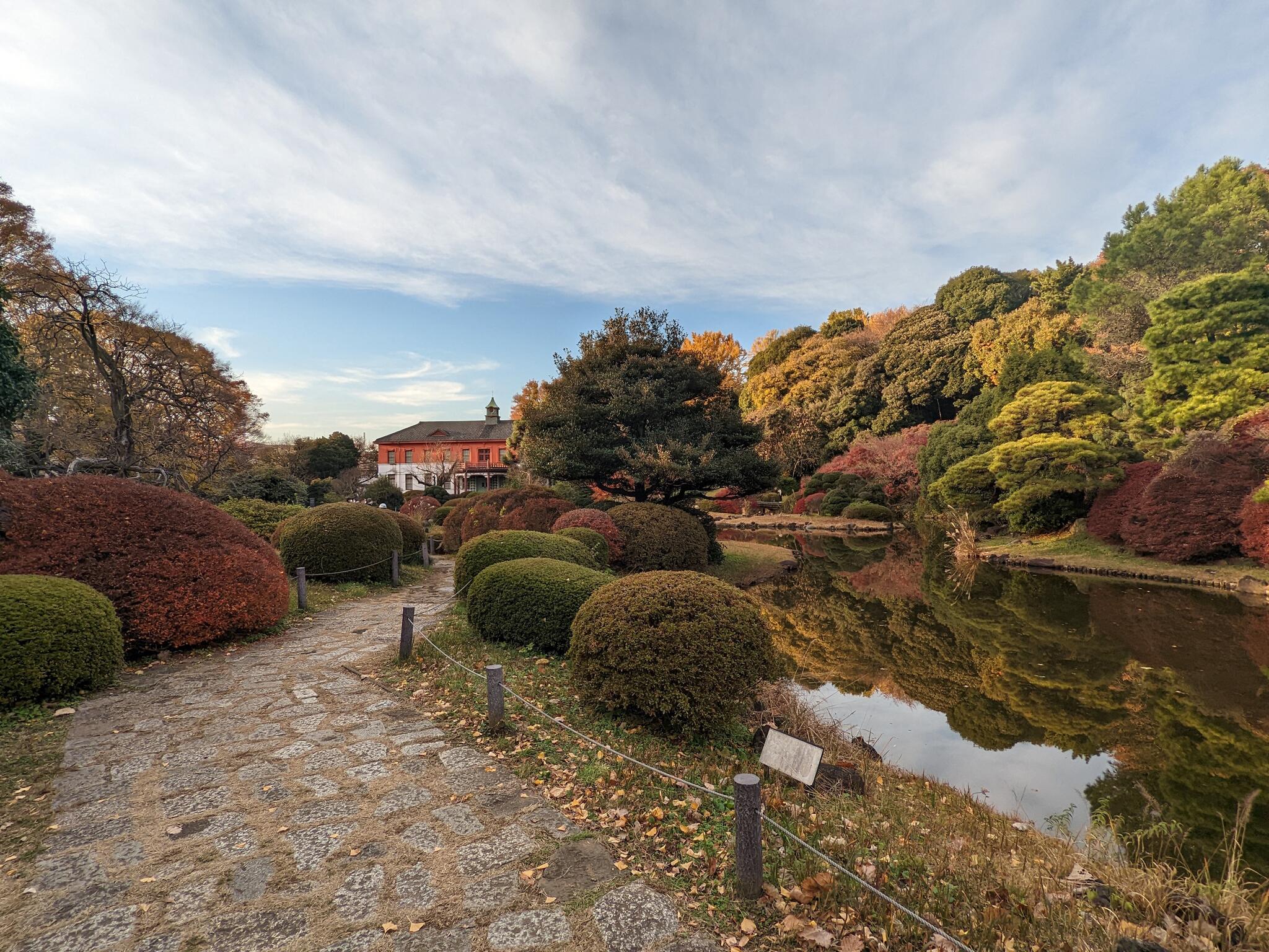 小石川植物園の代表写真3