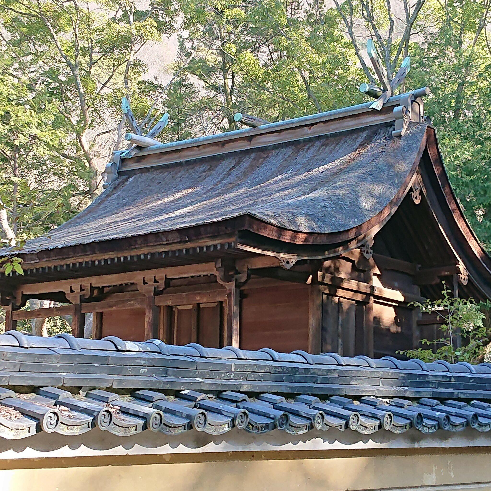 神谷神社の代表写真3