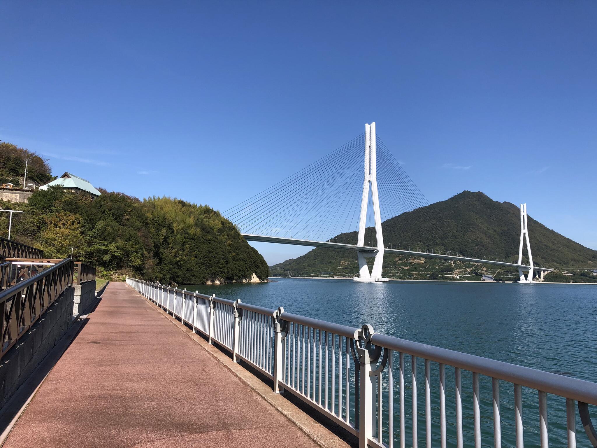 多々羅しまなみ公園の代表写真5