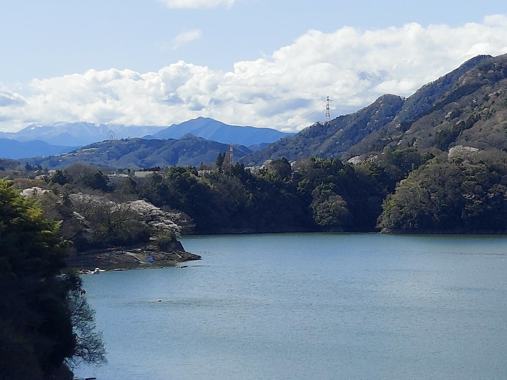 県立津久井湖城山公園の代表写真5