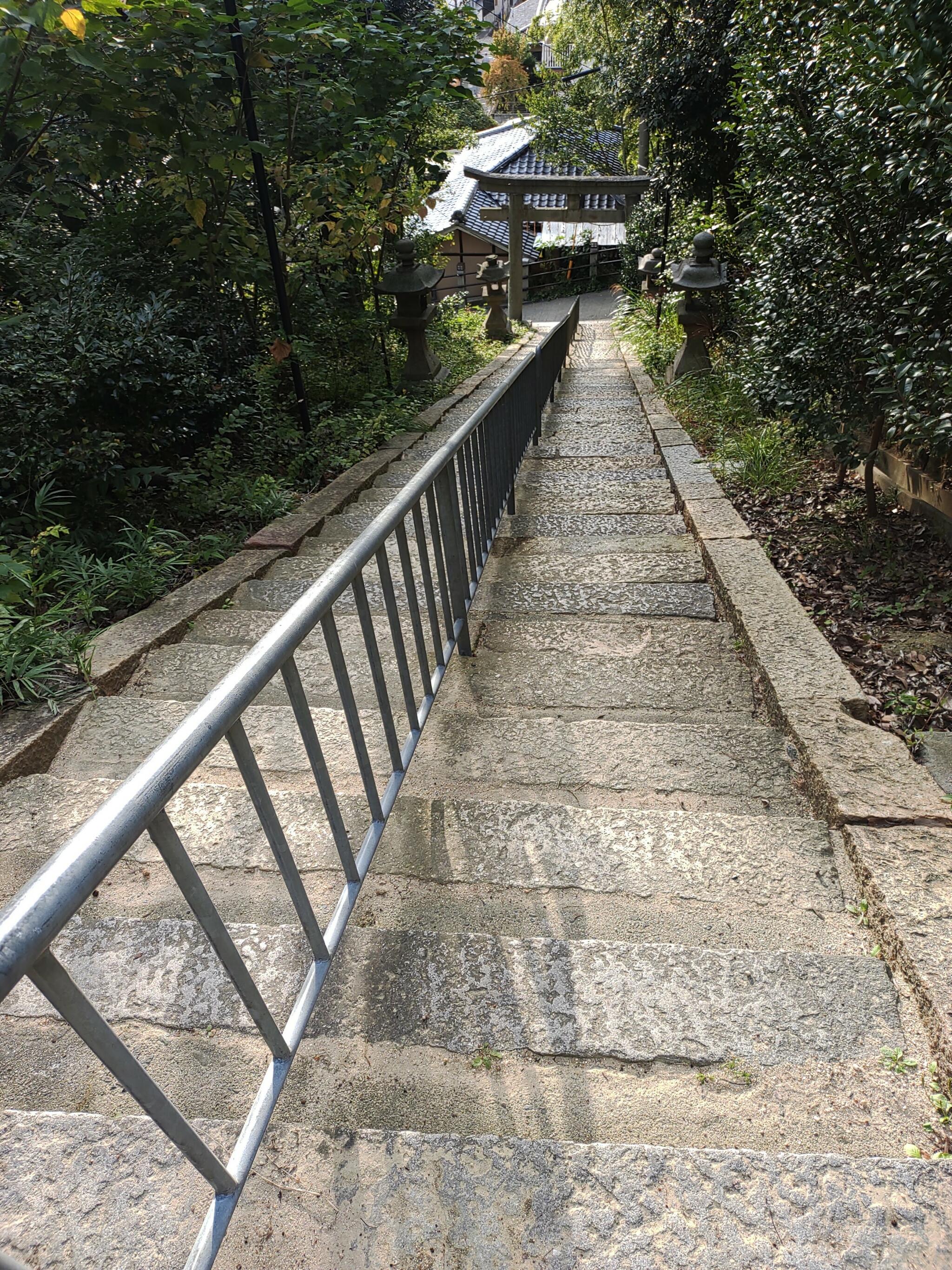 意賀美神社の代表写真2