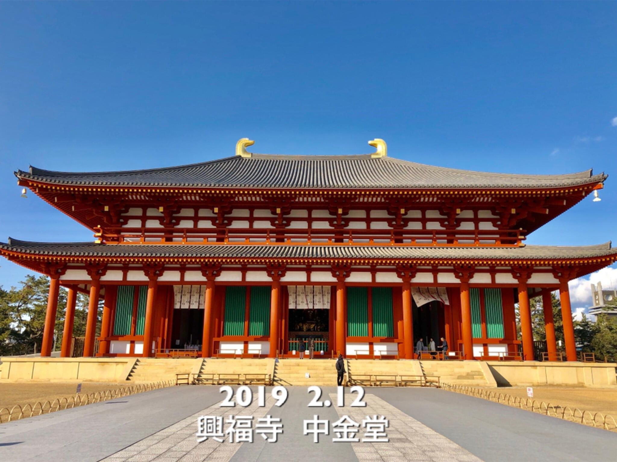 興福寺中金堂の代表写真1