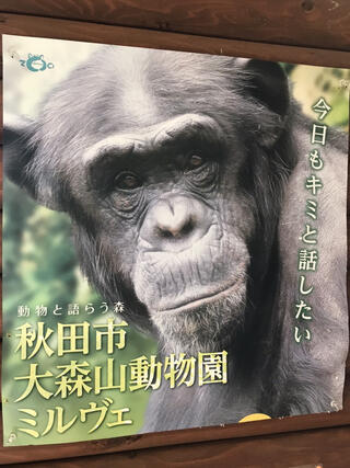 秋田市大森山動物園のクチコミ写真1