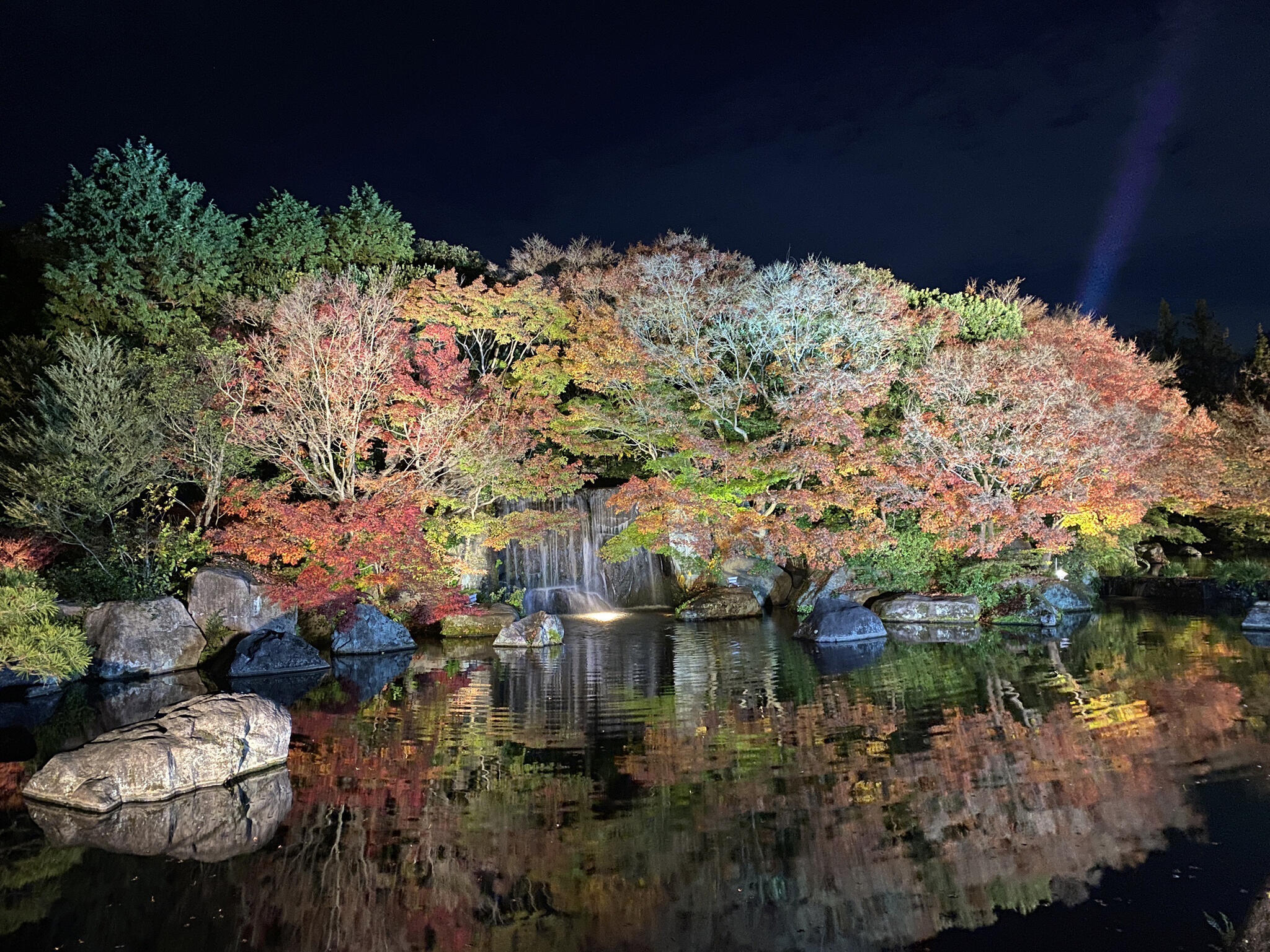 姫路城西御屋敷跡庭園 好古園の代表写真9