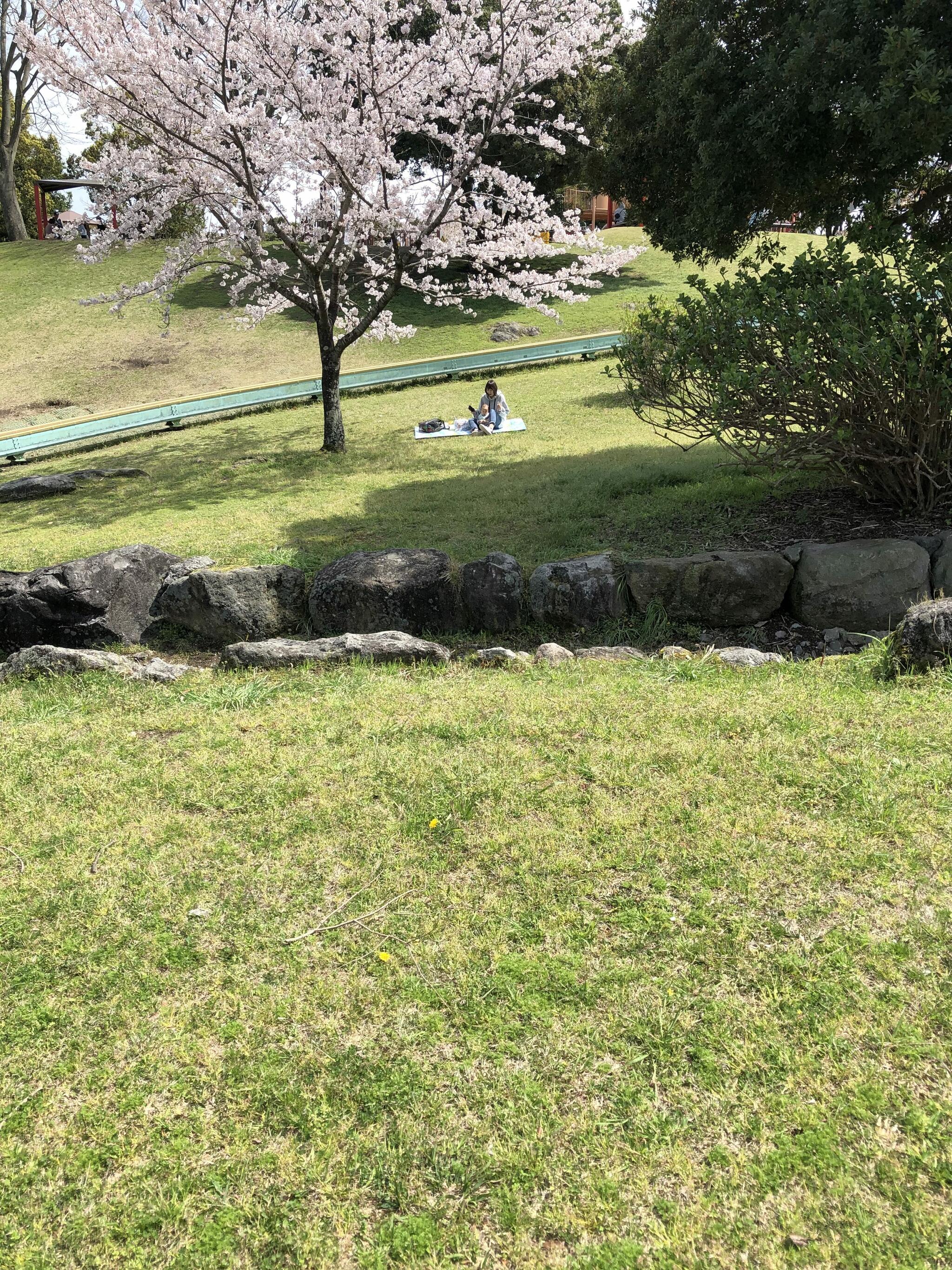 長崎県立百花台公園の代表写真8