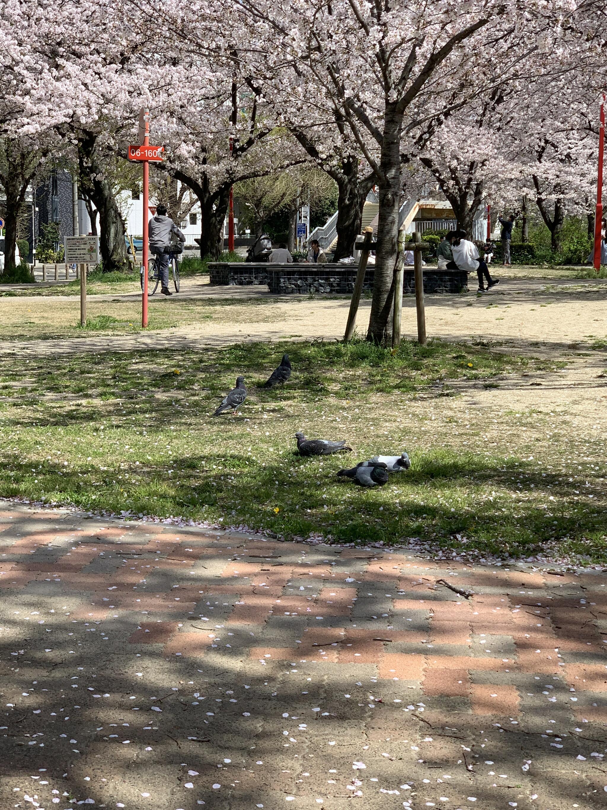 金山公園(名古屋市中区)の代表写真3