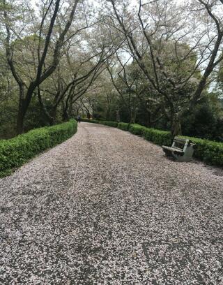 香川県公渕森林公園のクチコミ写真1