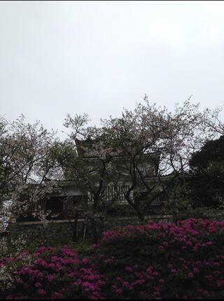 平戸城のクチコミ写真2