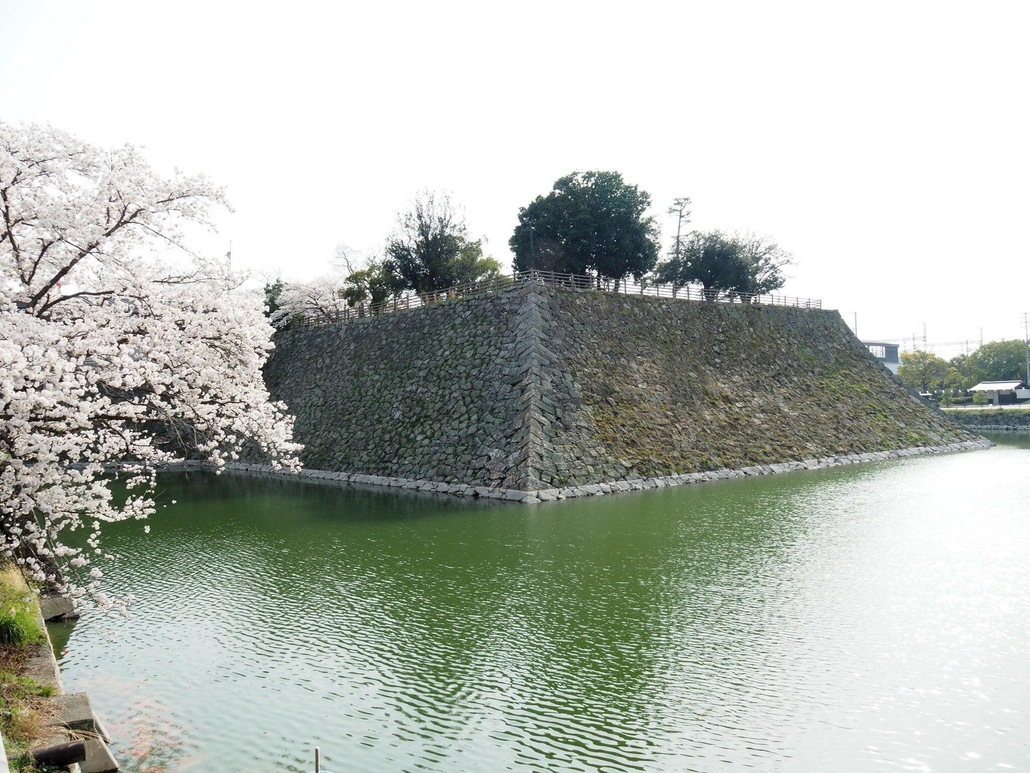 三原城跡の代表写真10