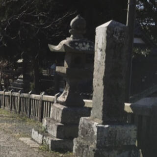 賀来神社の写真2