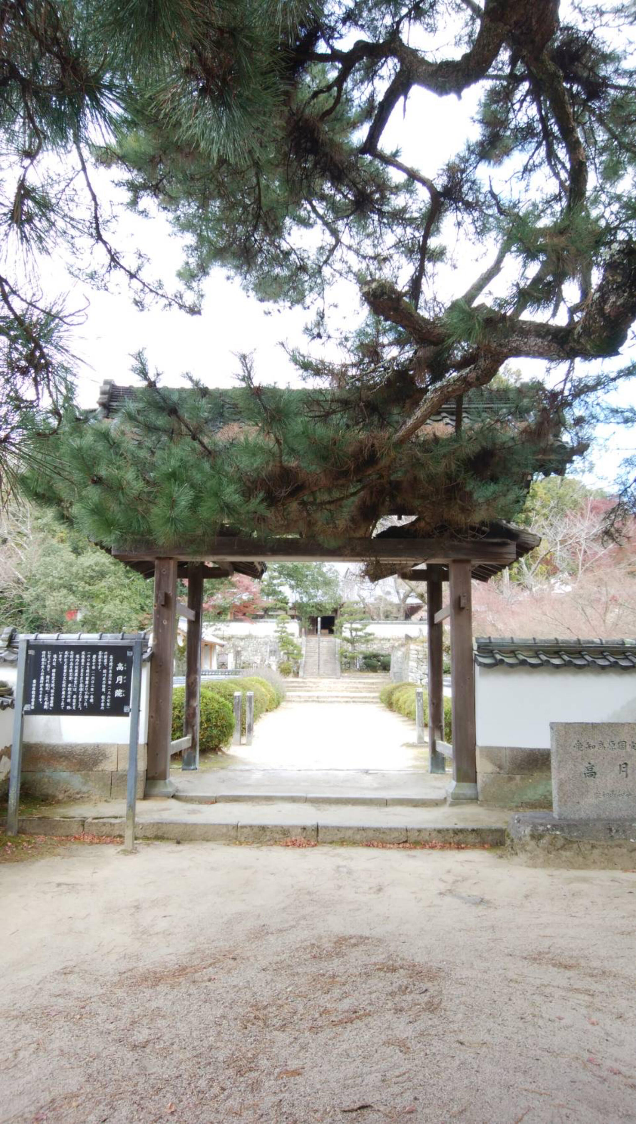 本松山 高月院 寂静寺の代表写真9