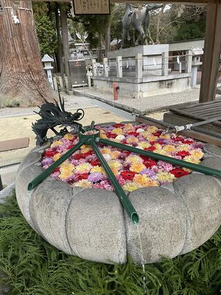 田村神社のクチコミ写真1