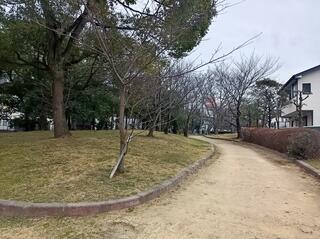 土居川公園のクチコミ写真7
