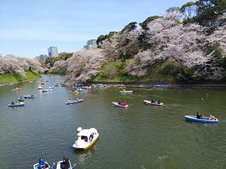 千鳥ヶ淵公園のクチコミ写真1