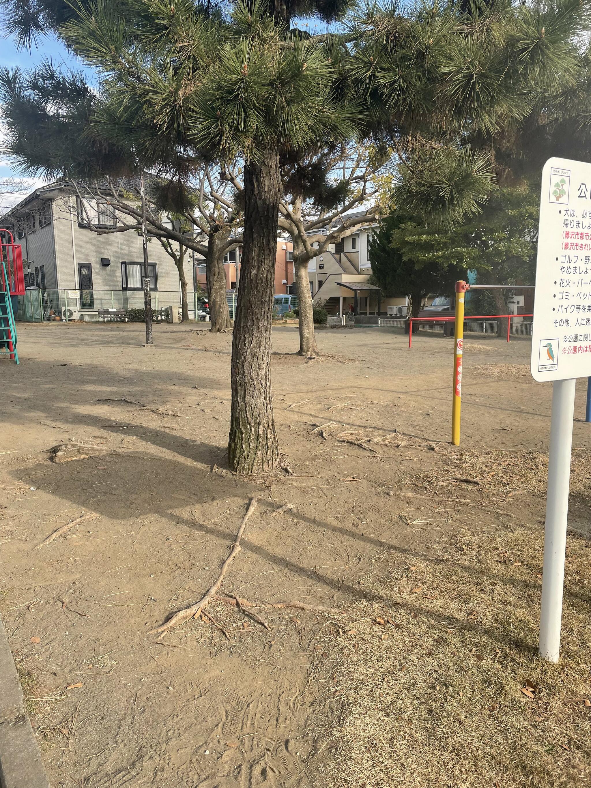 桜小路公園の代表写真3