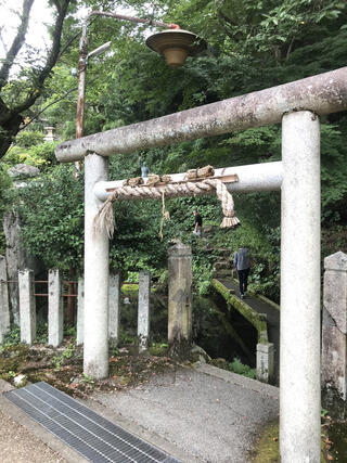 加茂神社のクチコミ写真1