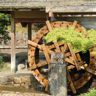 香川用水記念公園の写真4