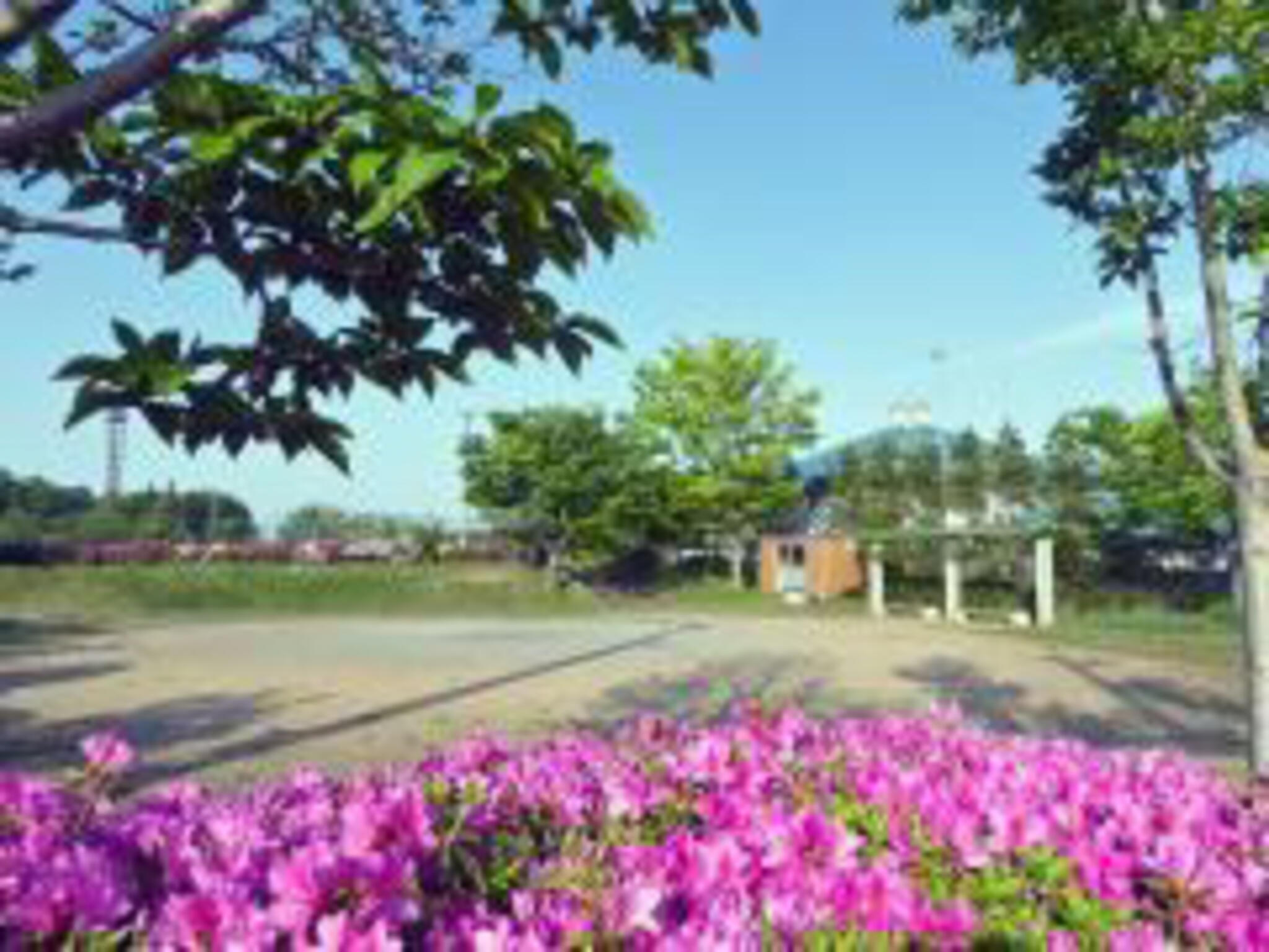 軽海中央公園の代表写真4