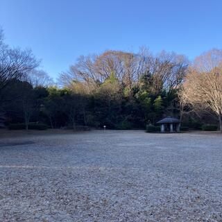 茅ヶ崎公園の写真9
