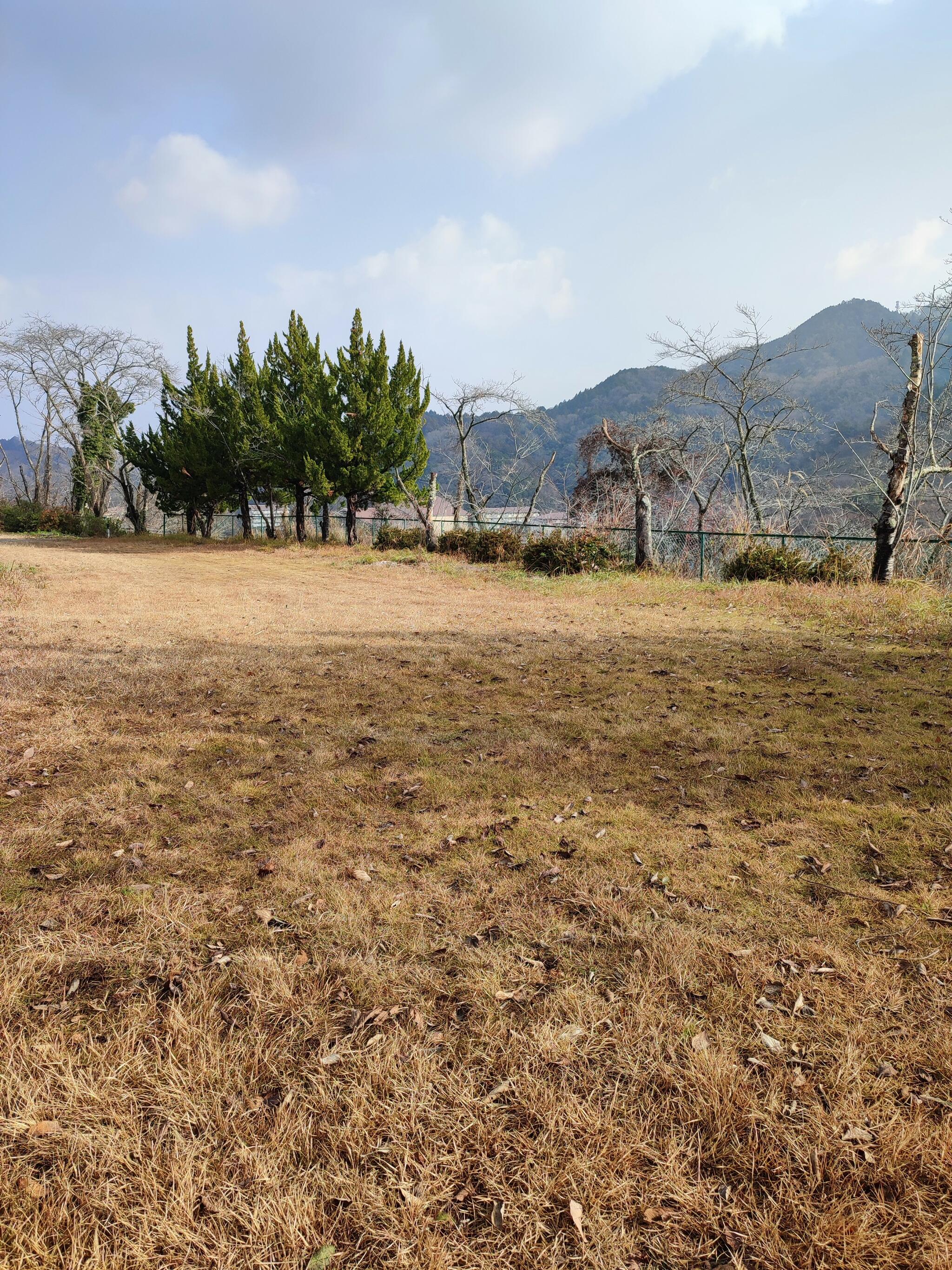 金比羅山公園の代表写真4