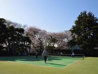 横浜山手テニス発祥記念館のクチコミ写真1