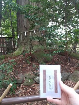 須佐神社のクチコミ写真2