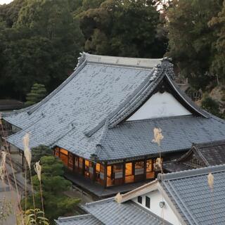 本松山 高月院 寂静寺の写真1