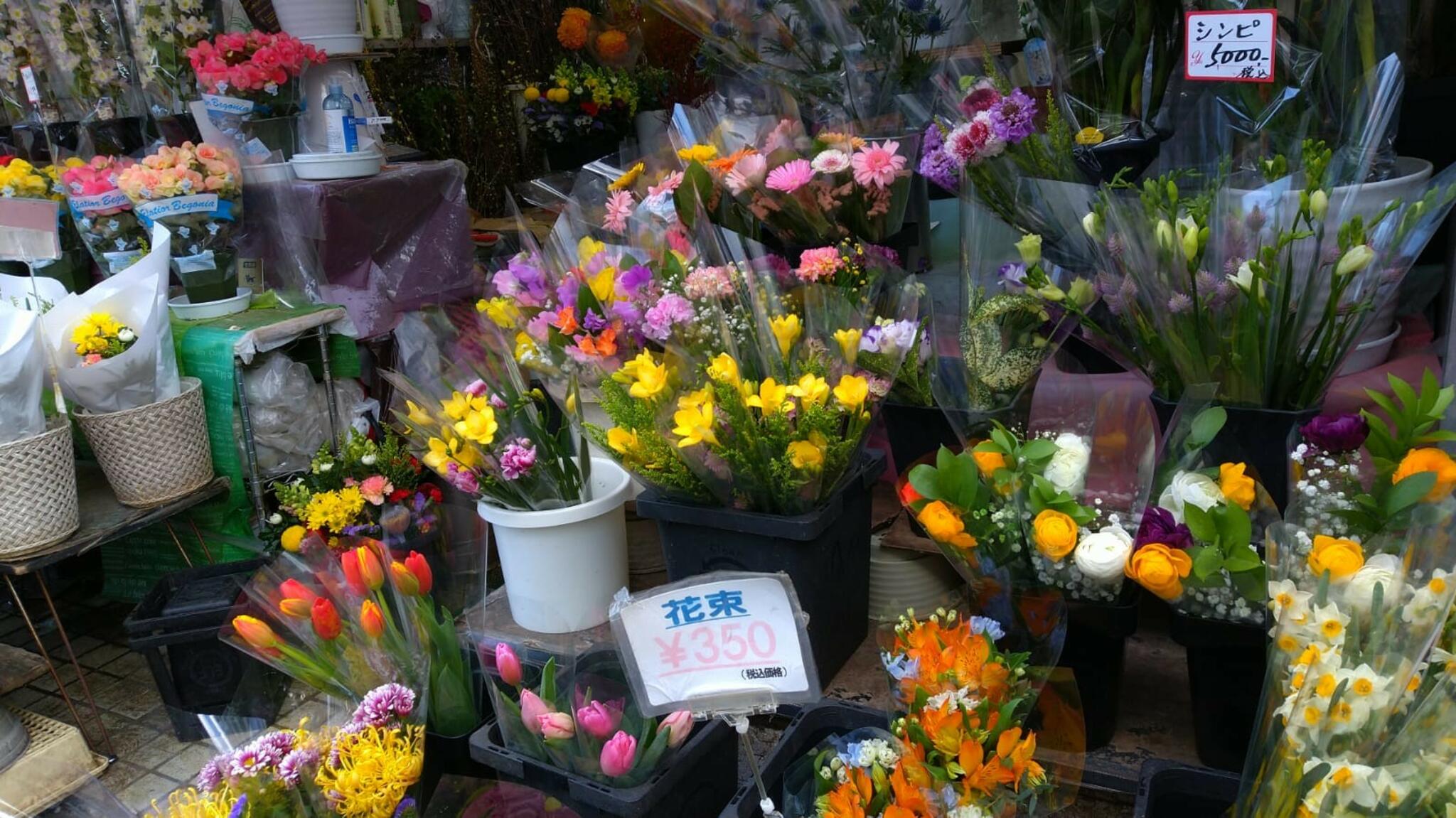 有限会社花のナカムラの代表写真2