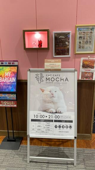 猫カフェ MOCHA イオンモール大日店のクチコミ写真3