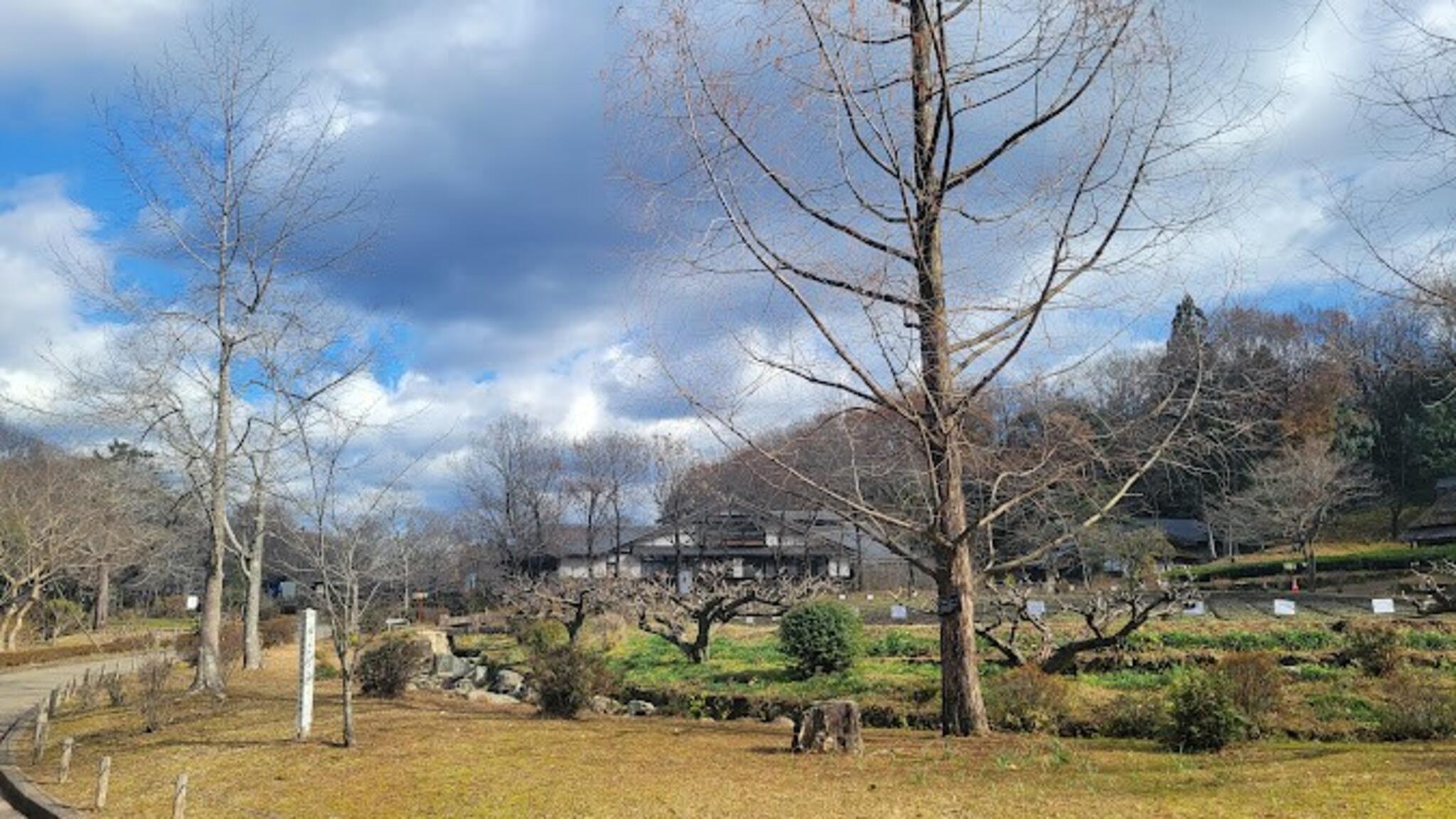 ぎふ清流里山公園の代表写真3