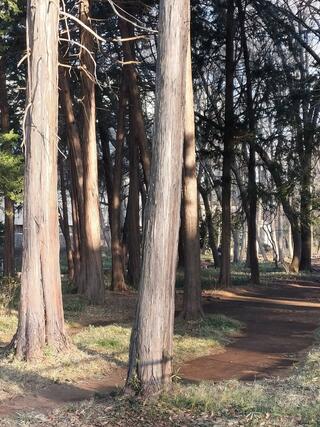 津田公園のクチコミ写真1