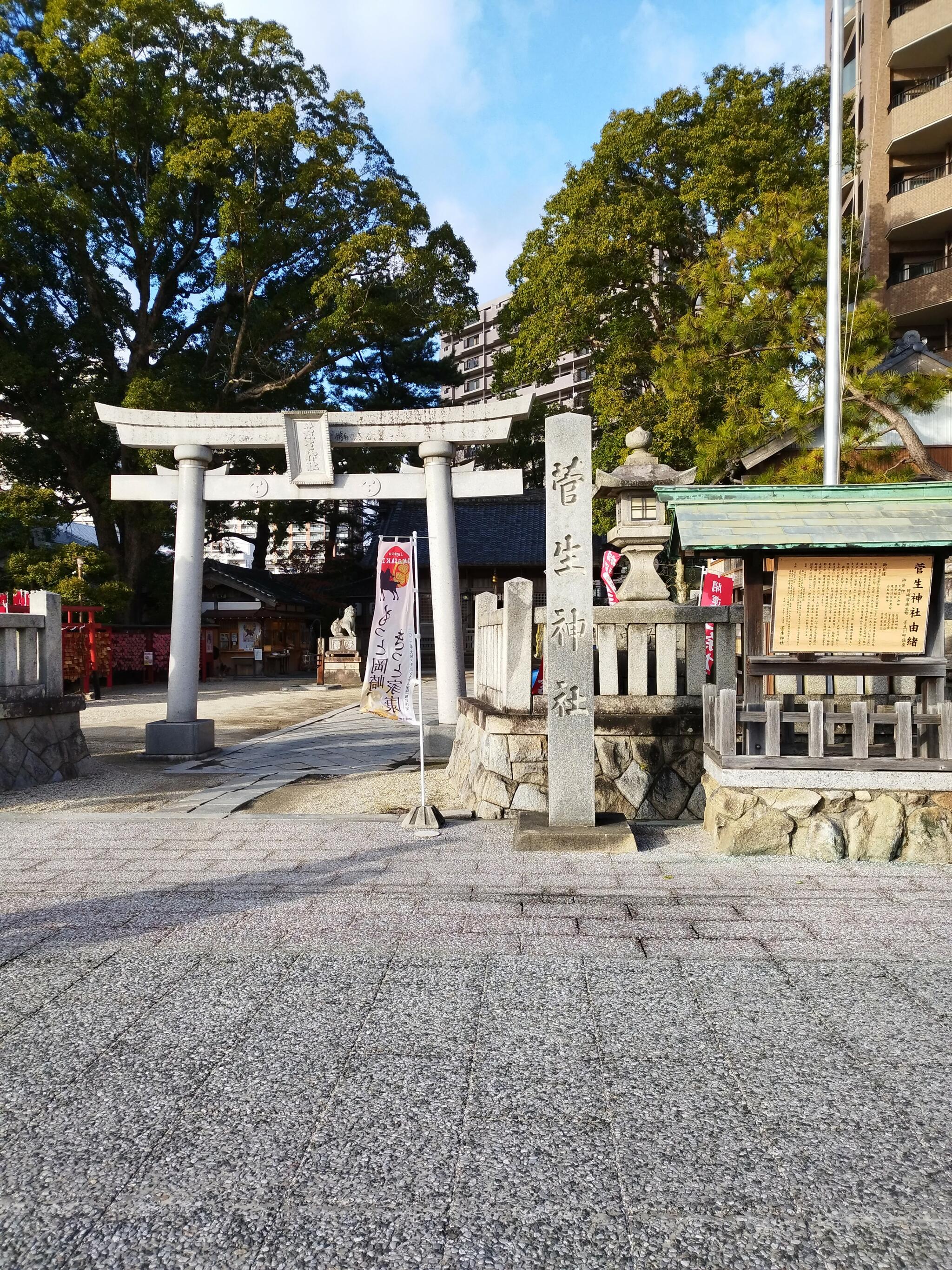 菅生神社の代表写真10