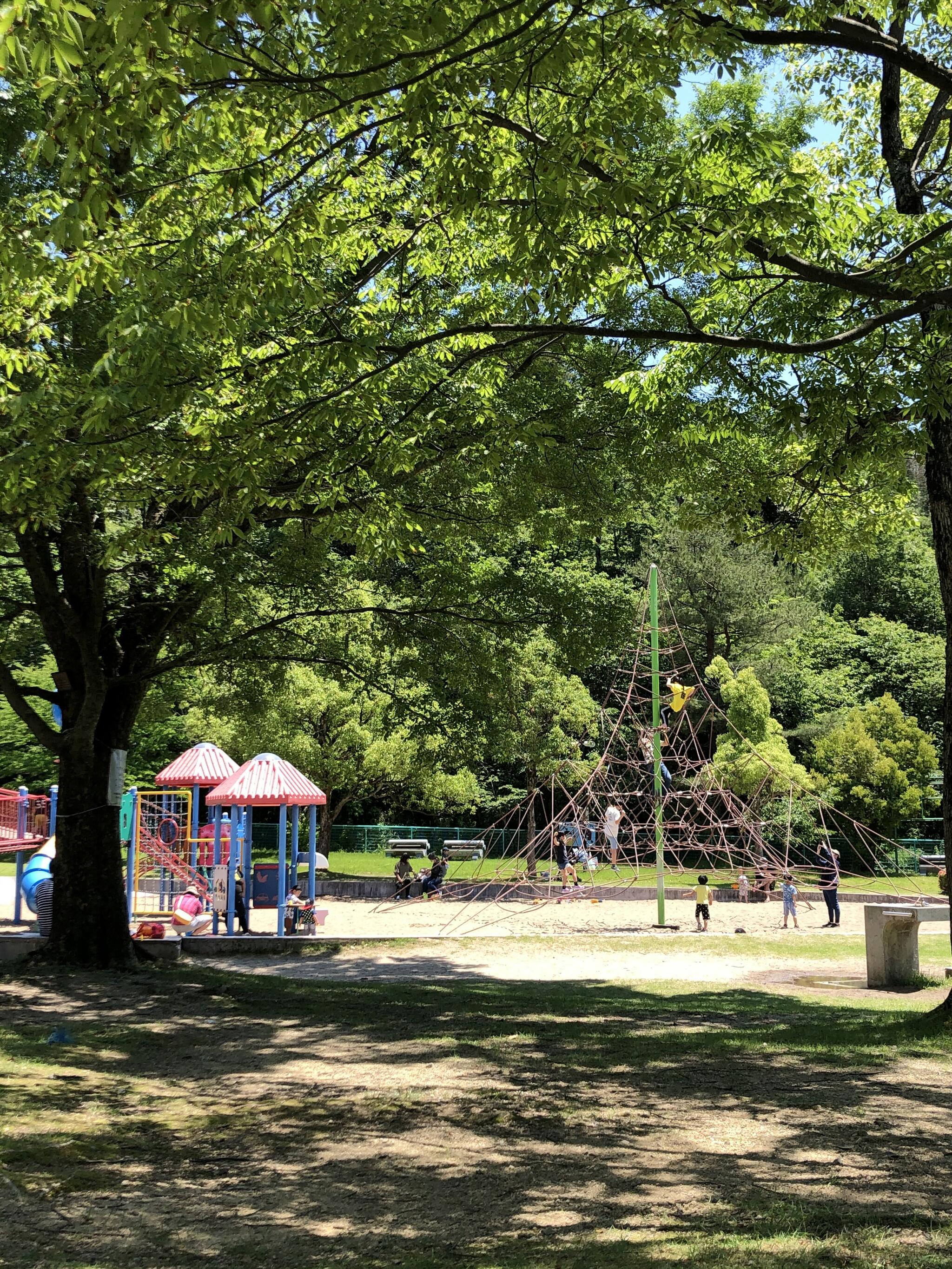 敦賀市総合運動公園の代表写真6