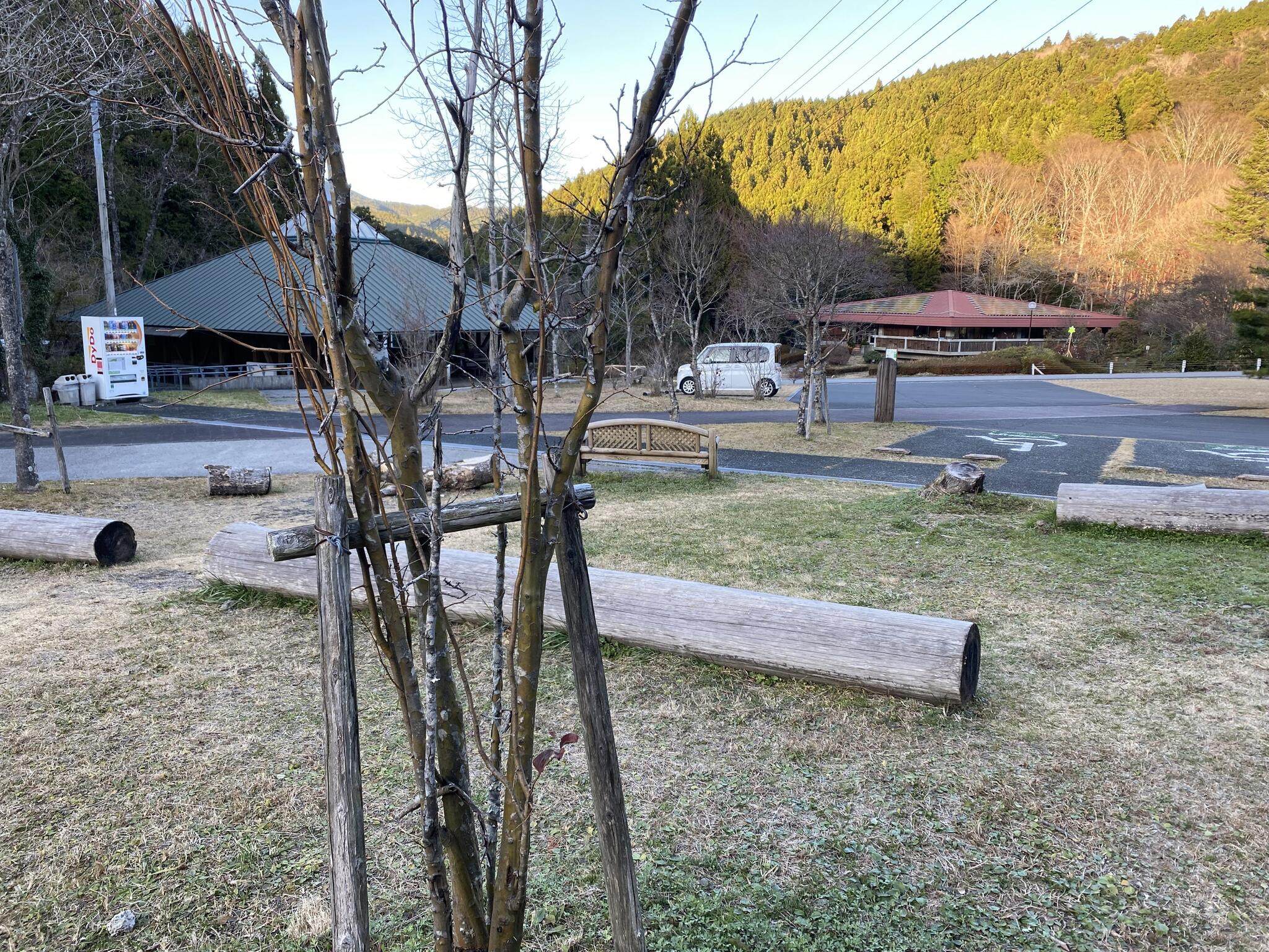 甫喜ヶ峰森林公園キャンプ場の代表写真4