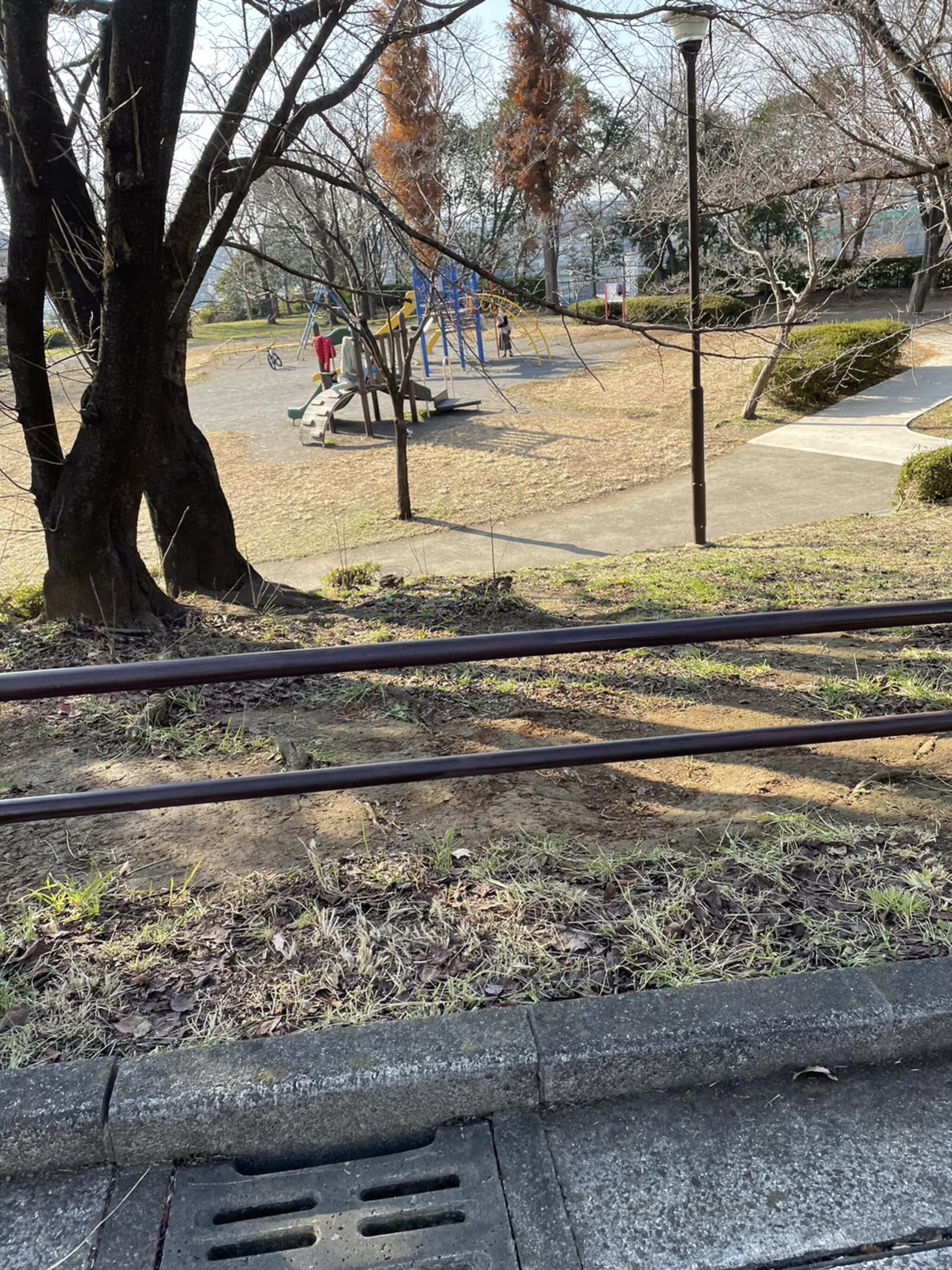 鷺沼公園の代表写真3