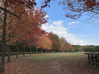 三木山総合公園のクチコミ写真1