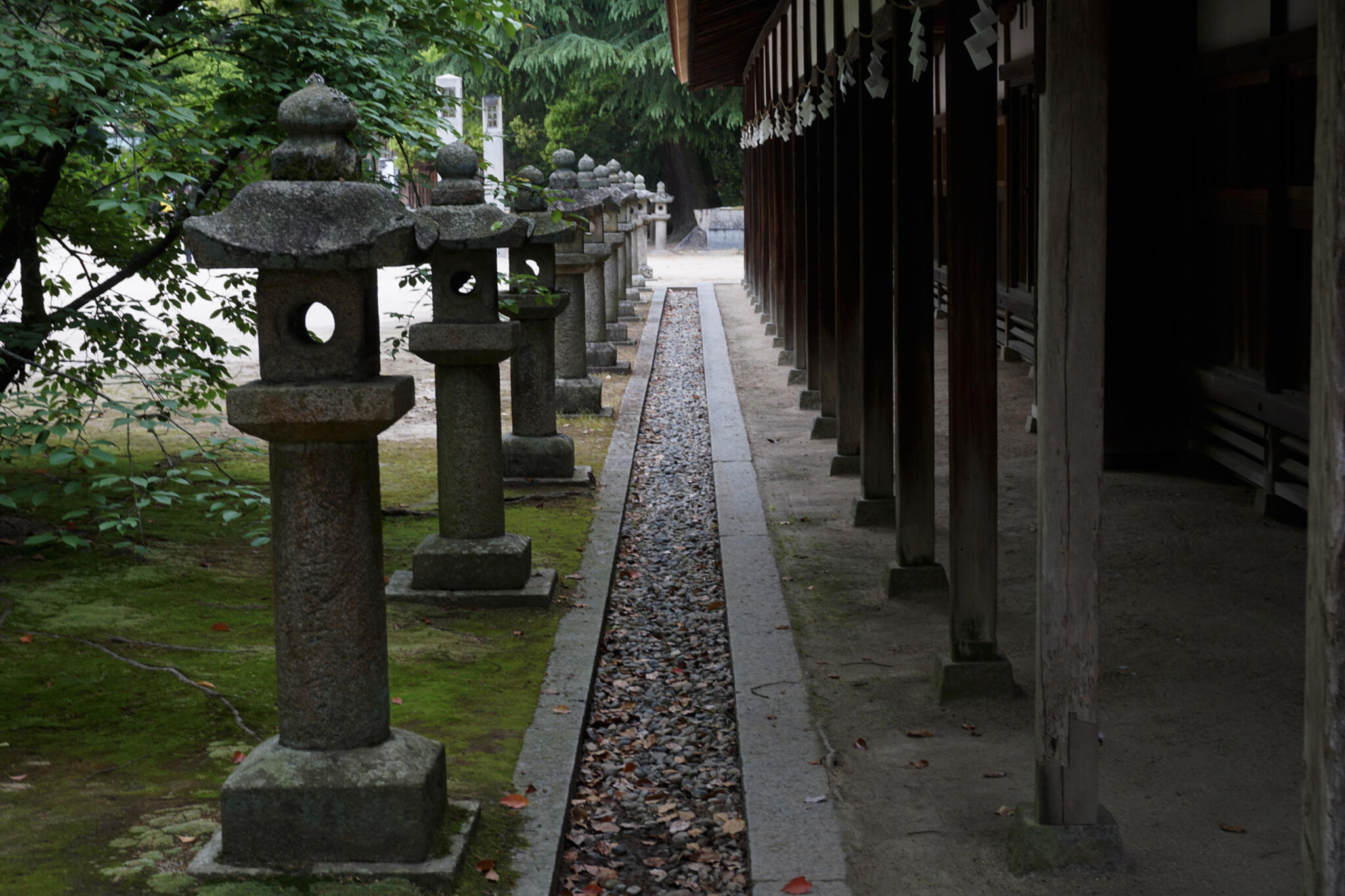 大山祇神社の代表写真6