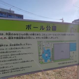 人気 公園 リードなし ボール遊び