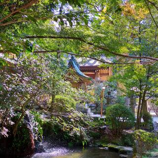 宝満宮 竈門神社の写真8