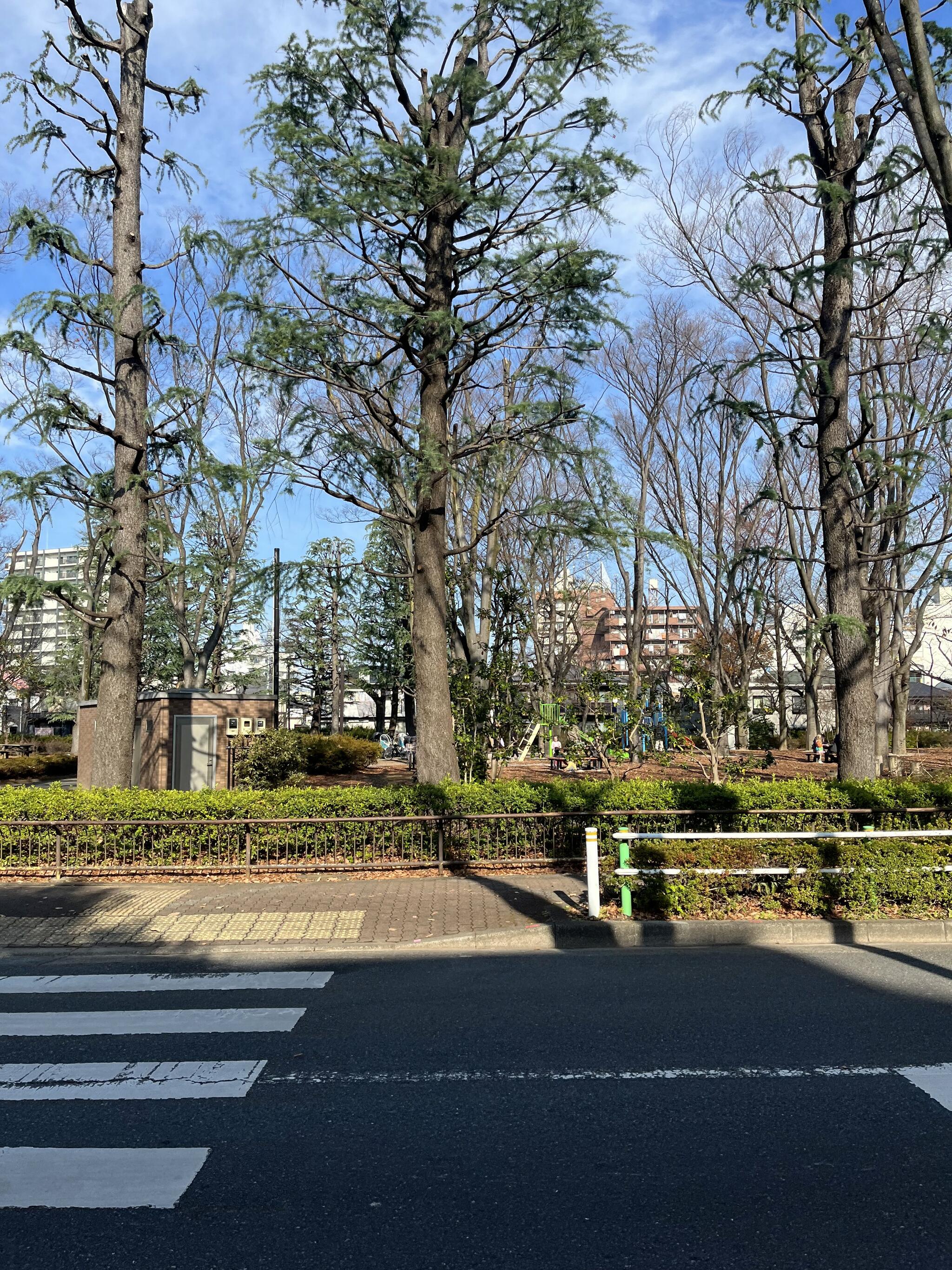 赤塚新町公園の代表写真3