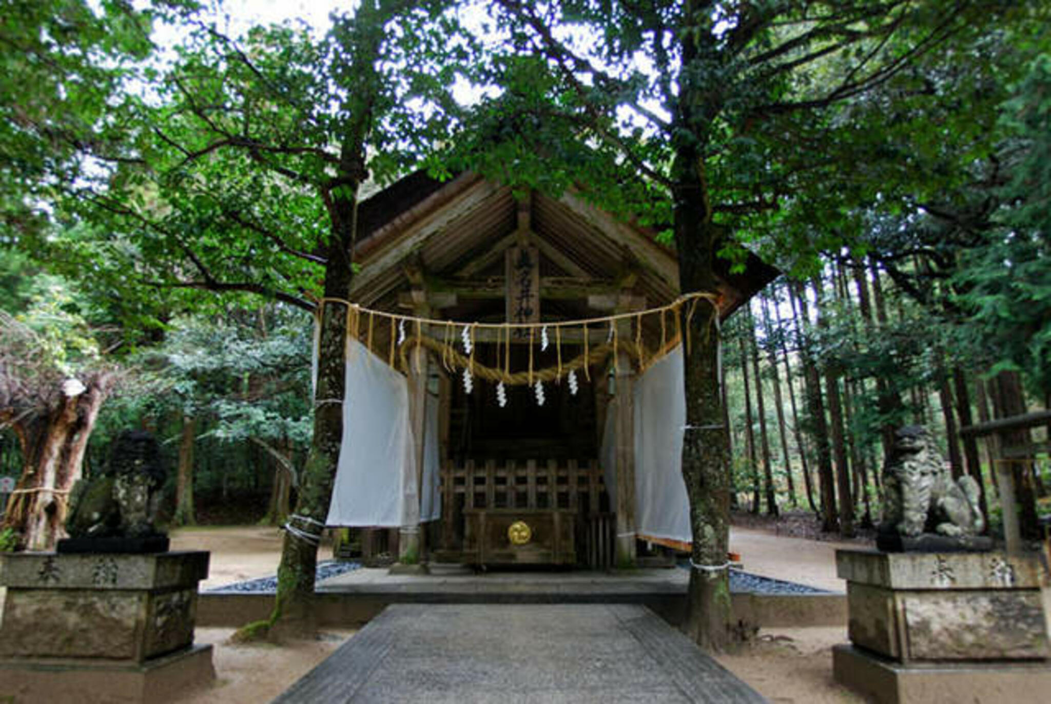 真名井神社の代表写真1