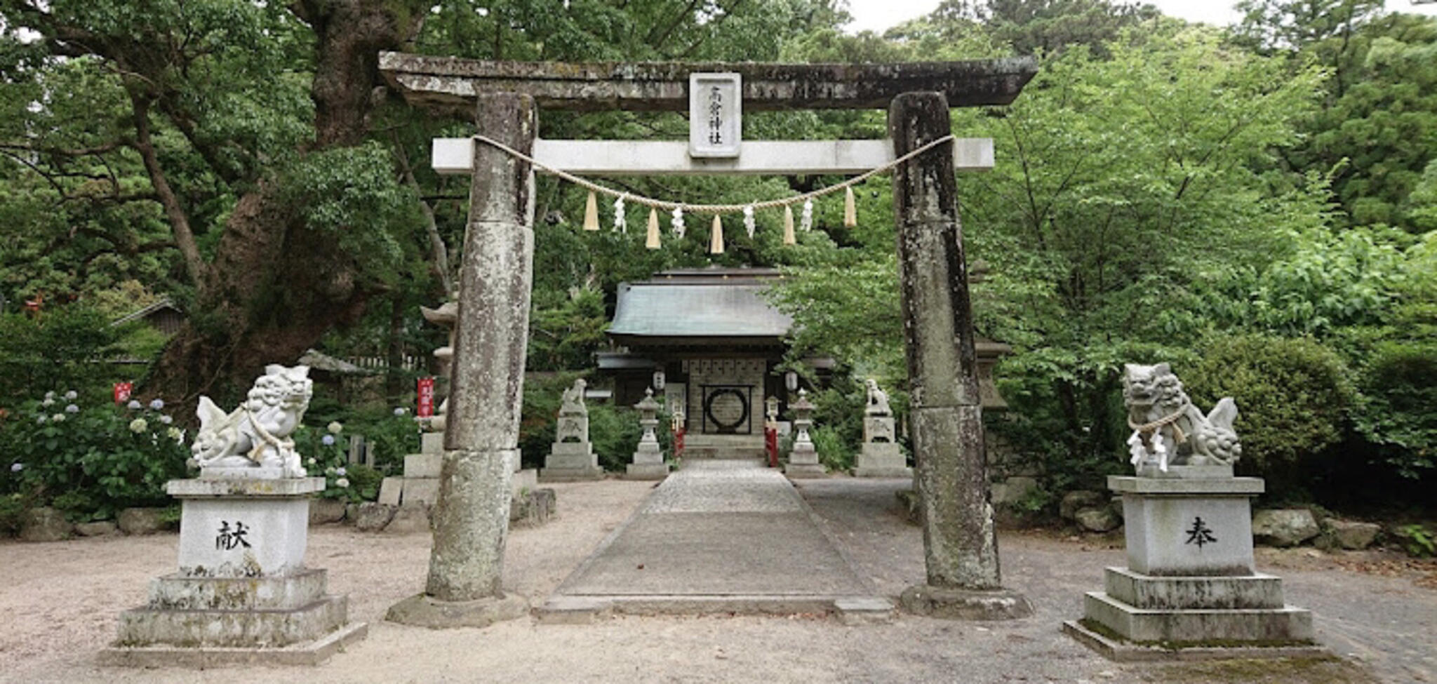 高倉神社の代表写真2