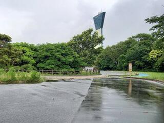 三崎公園のクチコミ写真1