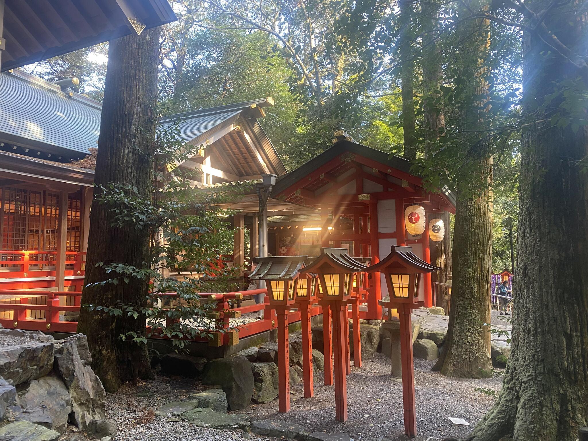 椿大神社の代表写真1