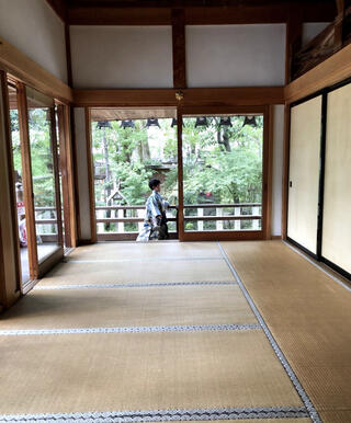 杭全神社のクチコミ写真1