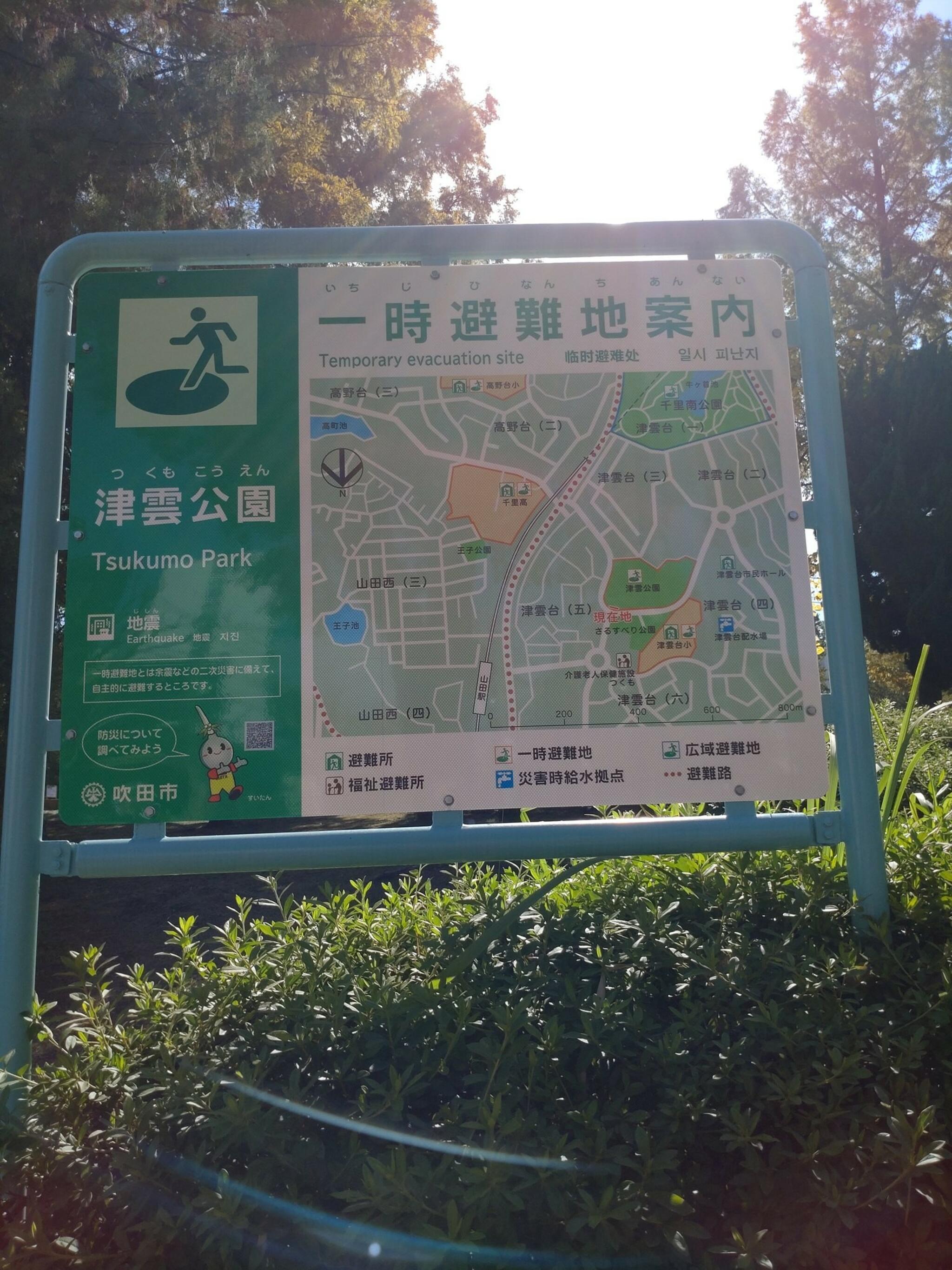 津雲公園の代表写真4