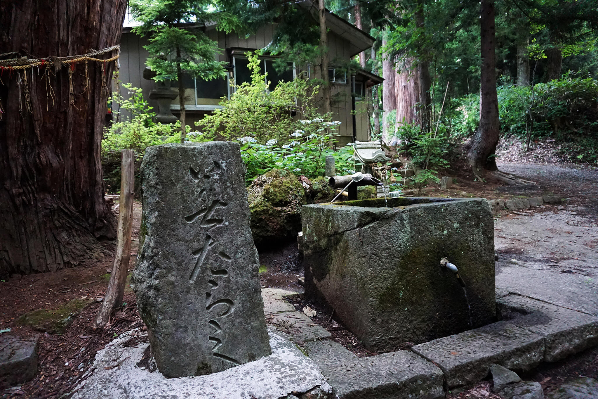 磐椅神社の代表写真3